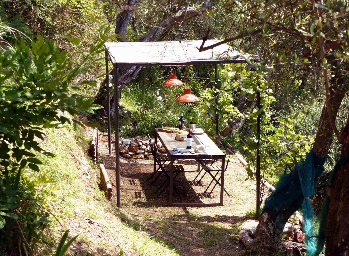 Il Giaggiolo Villa Camaiore Bagian luar foto