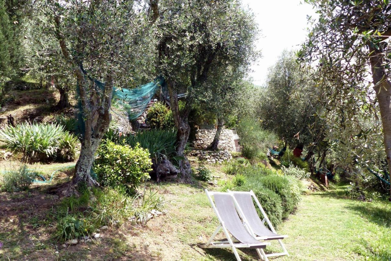 Il Giaggiolo Villa Camaiore Bagian luar foto