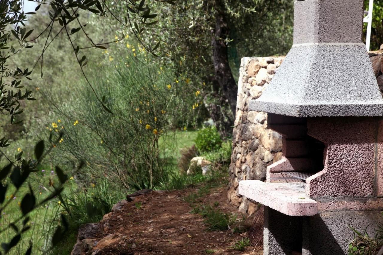 Il Giaggiolo Villa Camaiore Bagian luar foto